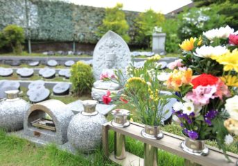 樹木葬とは？種類、費用やトラブル事例など後悔しないためのポイント